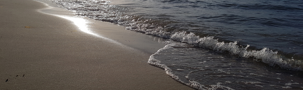 Ferienwohnung auf Rügen